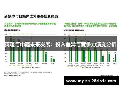 英超与中超未来发展：投入差异与竞争力演变分析