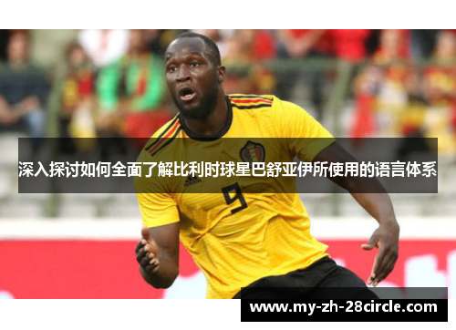 深入探讨如何全面了解比利时球星巴舒亚伊所使用的语言体系