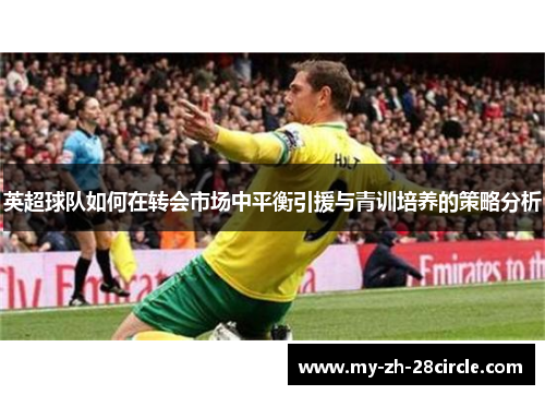 英超球队如何在转会市场中平衡引援与青训培养的策略分析